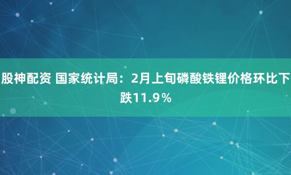 股神配资 国家统计局：2月上旬磷酸铁锂价格环比下跌11.9％