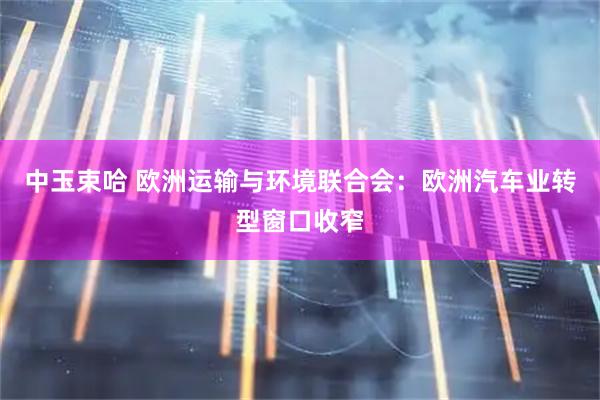 中玉束哈 欧洲运输与环境联合会：欧洲汽车业转型窗口收窄