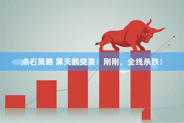 点石策略 黑天鹅突袭！刚刚，全线杀跌！