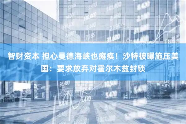 智财资本 担心曼德海峡也瘫痪！沙特被曝施压美国：要求放弃对霍尔木兹封锁