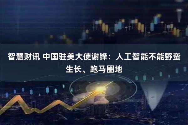 智慧财讯 中国驻美大使谢锋：人工智能不能野蛮生长、跑马圈地