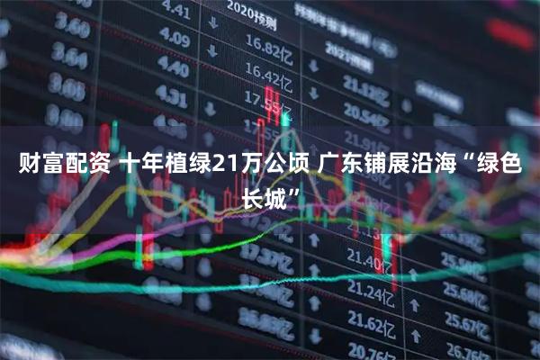 财富配资 十年植绿21万公顷 广东铺展沿海“绿色长城”