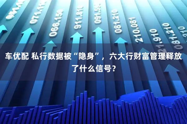 车优配 私行数据被“隐身”，六大行财富管理释放了什么信号？